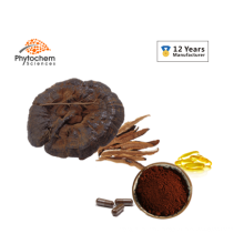 Healthcare Product Organic Ganoderma Lucidum/Reishi Spore Oil Softgel